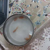 آکواریوم