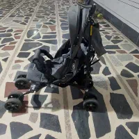 کالسکه عصایی دلیجان