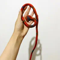 اسباب بازی و ورزشی