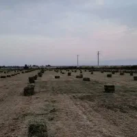 یونجه|لوازم جانبی حیوانات|حاجی آباد, |دیوار
