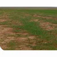 فروش-یک-قطعه-زمین