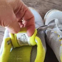 کتونی برند ادیداس