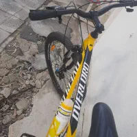 دوچرخه اورلورد۲۹|دوچرخه، اسکیت، اسکوتر|کیش, |دیوار