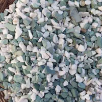 اکواریوم شرکتی|ماهی|تربت‌حیدریه, حسنی بالا|دیوار