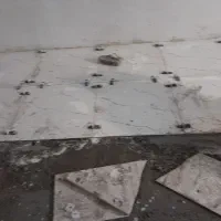 کاشیکار سرامیک موزایک سیمان کاری