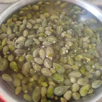 ترشی لگجین یا گلک محلی با خواص درمانی|خوردنی و آشامیدنی|شیراز, لب آب|دیوار