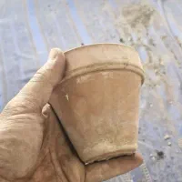 گلدان سفالی|عمده‌فروشی|ماهدشت, |دیوار