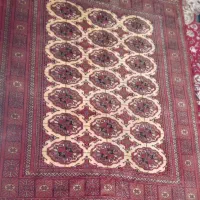 قالیچه دستباف ترکمن|فرش|گلبهار, شهر جدید گلبهار|دیوار