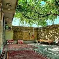 نیازمند همخونه