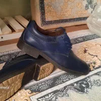 کفش مجلسی