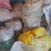 پشم‌گوسفند