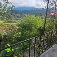 فروش خانه آرزوها/دوبلکس۳۰۰متر/ویوابدی جنگل/دلی