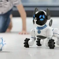 سگ رباتیک چیپ