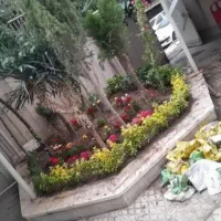 گل کاری وباغبانی هرس کاری وپابیل کردن|خدمات باغبانی و درختکاری|قم, مصلاء|دیوار