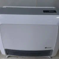 بخاری برقی گازی