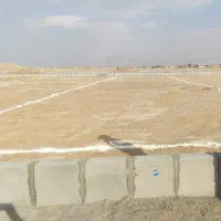 زمین جوانی جمعیت