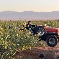 جیپ کروک|خودرو سواری و وانت|تهران, کن|دیوار