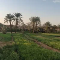 کارنظافت انجام میدیم