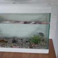 فروش آکواریوم کلیه وسایل اکسیژن