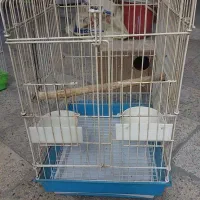 قفس با لانه