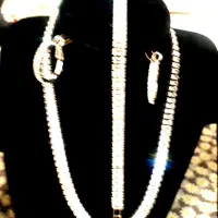 یک فرصت طلایی.فروش یکجا قیمت توافقی|بدلیجات|شیراز, شیخ روزبهان|دیوار