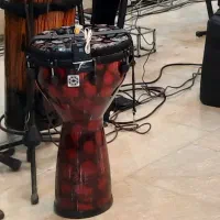 جیمبی پژواک طرح رمو