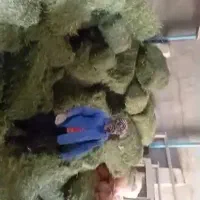 یونجه پرس انباری