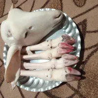 جیگر وکله پاچه|خوردنی و آشامیدنی|شیروان (خراسان), |دیوار