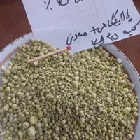 کود سوپر فسفات تریپل ۴۶ ٪