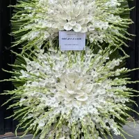 گل رز هلندی سبد گل نمایشگاه|گل و گیاه طبیعی|قم, بلوار امین و ساحلی|دیوار