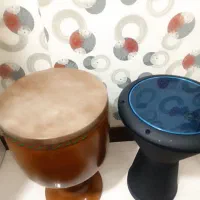 فروش تنبک وتمبونو|سازهای سنتی|مشهد, نرگس (شهرک غرب)|دیوار