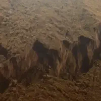 پودر ماهی جنوب