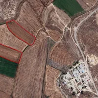 فروش حدود 2 هکتار زمین کشاورزی