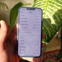 آیفون 13 نرمال zaa|موبایل|آزادشهر, |دیوار