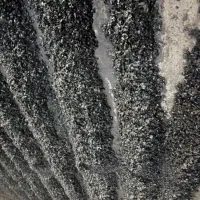 کربن پوست پسته