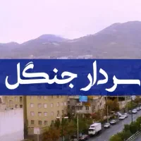 مغازه در خیابان سردار جنگل