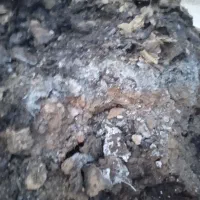 کودحیوانی تضمینی|خدمات باغبانی و درختکاری|ارومیه, |دیوار