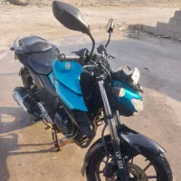 fz250