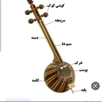 اموزش تخصصی کمانچه به صورت خصوصی|خدمات آموزشی|دزفول, |دیوار