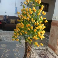گل تزیینی
