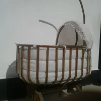 گهواره شرکتی