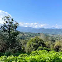 خانه کلنگی ۵۴۵ متر جنگلی مدارک کامل آسفالت|فروش زمین و ملک کلنگی|فومن, |دیوار