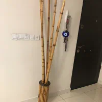 گل بامبو با گلدان