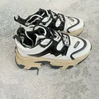 کفش مجلسی|کیف، کفش، کمربند|نیشابور, خط کاشمر|دیوار