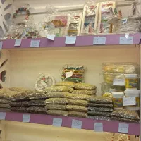 خانه پرندگان لاهیجان میدان جمهوری خیابان توحید|پرنده|لاهیجان, طالقانی|دیوار