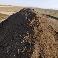 خراسان رضوی بردسکن فیض آباد db|خدمات باغبانی و درختکاری|بردسکن, |دیوار