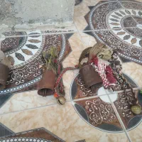 زنگوله|لوازم جانبی حیوانات|گتوند, |دیوار