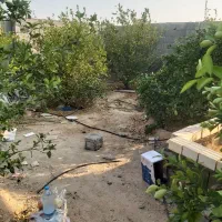 فروش ۳ پلاک ۲۰۰متری مسکونی سند ثبت شهرجم.بهرباغ