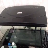 آکواریوم درحد نو با وسایل