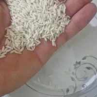 برنج‌هاشمی‌درجع یک‌ب‌شرط